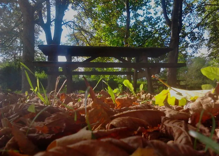 Летний дом La Canaleja