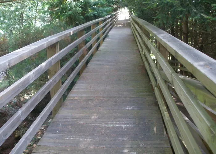 La Canaleja Ciguenza (Burgos)